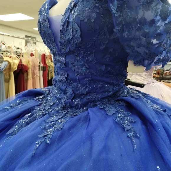 Elegant New Quinceañera Dress - Picture 10 of 11